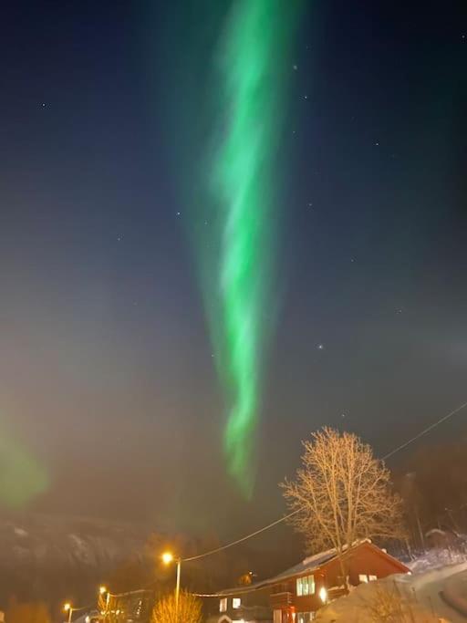 Aurora Apartment Very Close To Cable Car And Sherpatrappa Tromsø Exteriör bild