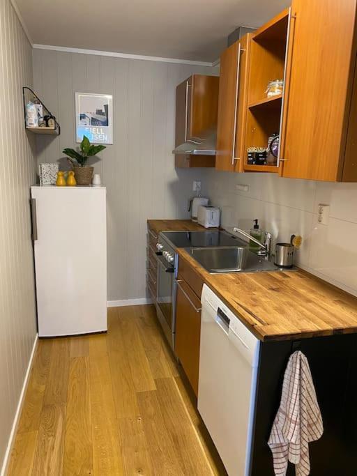 Aurora Apartment Very Close To Cable Car And Sherpatrappa Tromsø Exteriör bild